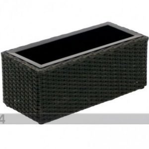 Carden4you Kukkaruukun Suoja Wicker 47x20xh19 Cm