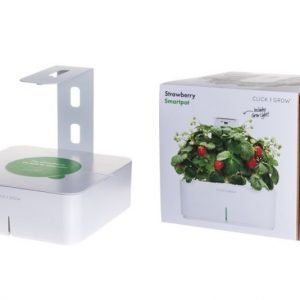 Click and Grow Smartpot