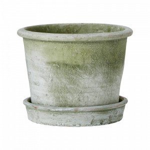 Ellos Rosmarin Ruukku Korkeus Aluslautasen Kanssa Vihreä 19 Cm