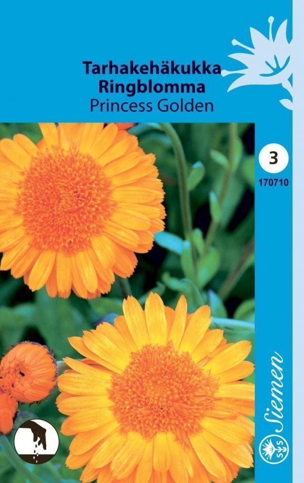 Siemen Calendula Officinalis Prinzess Golden Tarhakehäkukka