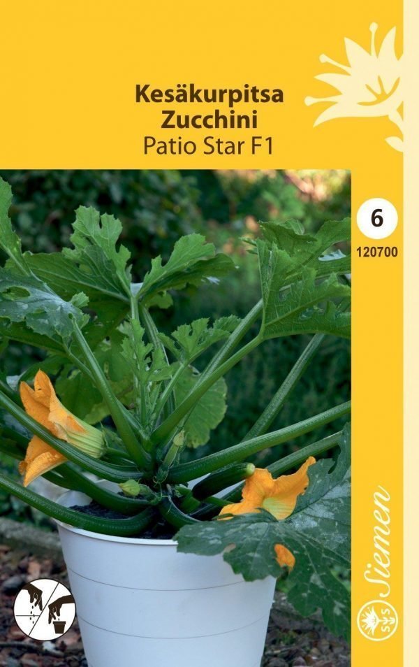 Siemen Kesäkurpitsa Patio Star F1