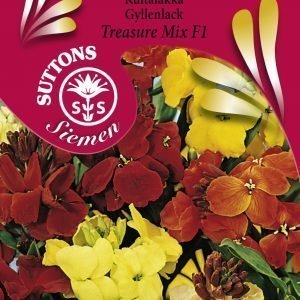 Siemen Kultalakka Treasure Mix F1