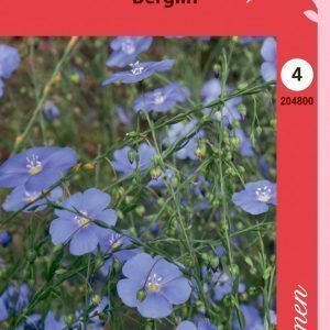 Siemen Linum Perenne Sinipellava