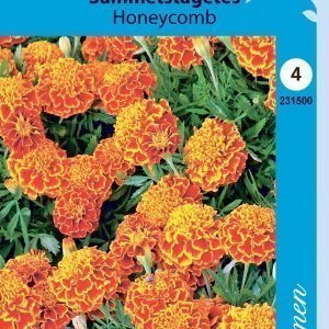Siemen Samettikukka Honeycomb