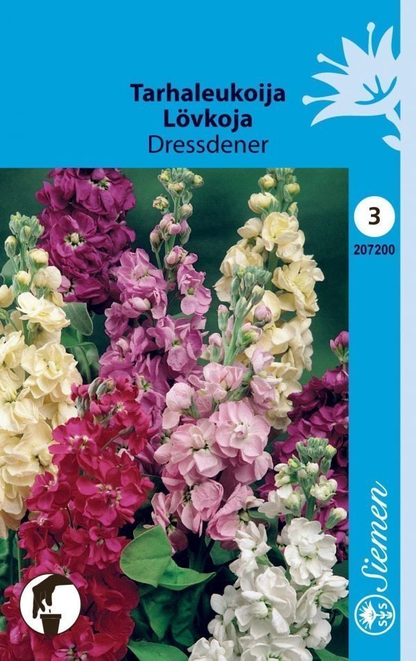 Siemen Tarhaleukoija Dressdener