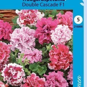 Siemen Tarhapetunia Double Cascade