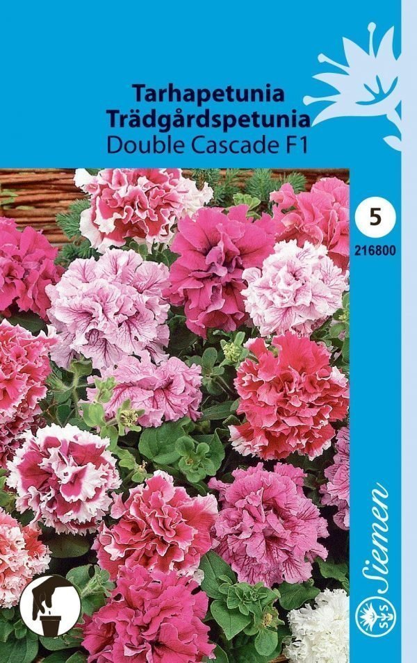 Siemen Tarhapetunia Double Cascade
