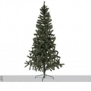 Star Trading Tekokuusi Canadian 210 Cm