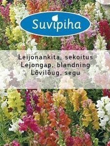 Suvipiha Antirrhinum