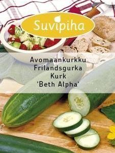 Suvipiha Avomaankurkku Beith Alpha