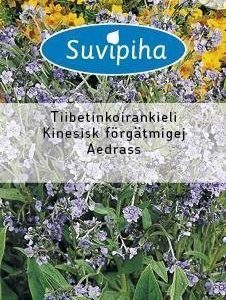 Suvipiha Cynoglossum Amabile Tiibetinkoirankieli
