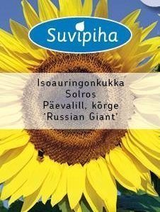 Suvipiha Helianthus