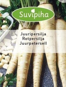 Suvipiha Juuripersilja