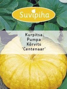 Suvipiha Jättiläiskurpitsa Centenaar