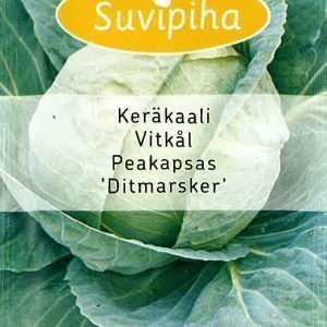 Suvipiha Keräkaali Ditmarsker