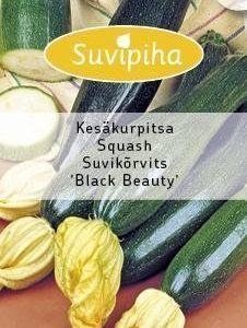 Suvipiha Kesäkurpitsa Black Beauty