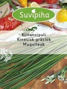 Suvipiha Kiinansipuli