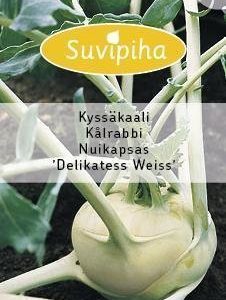 Suvipiha Kyssäkaali Delikatess Weiss