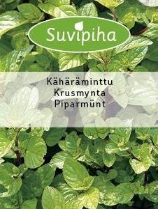 Suvipiha Kähäräminttu