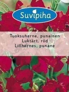 Suvipiha Lathyrus