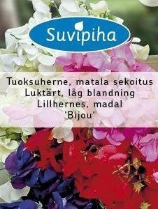 Suvipiha Lathyrus