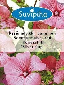 Suvipiha Lavatera