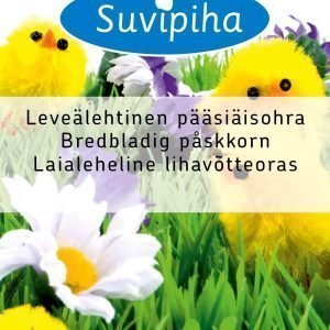 Suvipiha Leveälehtinen Pääsiäisohra
