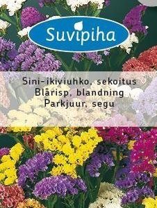 Suvipiha Limonium Sinuatum
