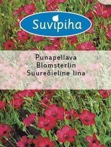 Suvipiha Linum