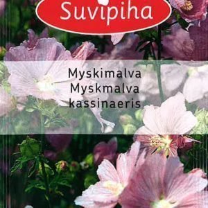 Suvipiha Malva Moschata
