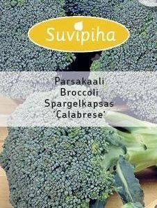 Suvipiha Parsakaali Grüne Calabrese