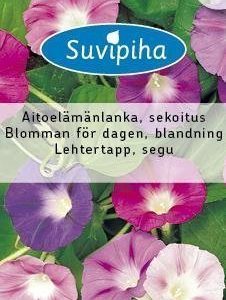 Suvipiha Pharbitis
