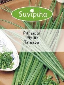 Suvipiha Pillisipuli