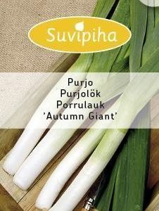 Suvipiha Purjo Herbstriesen