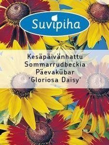 Suvipiha Rudbeckia Hirta