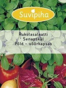 Suvipiha Rukolasalaatti