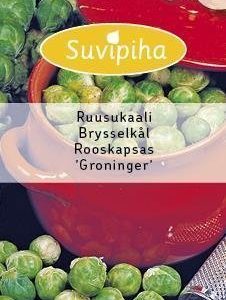 Suvipiha Ruusukaali Groninger