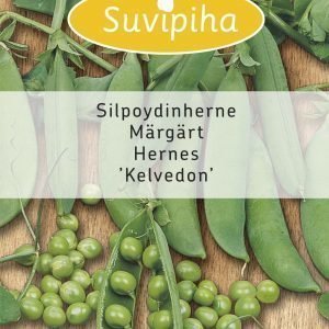 Suvipiha Silpoydinherne Kelvedon Wonder
