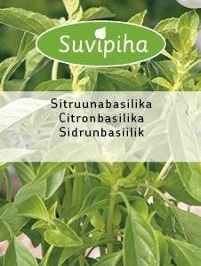 Suvipiha Sitruunabasilika