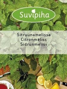 Suvipiha Sitruunamelissa