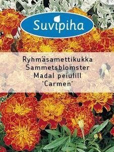 Suvipiha Tagetes