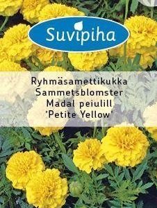 Suvipiha Tagetes