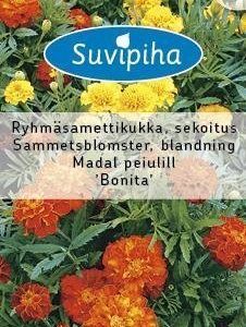 Suvipiha Tagetes