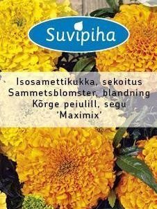 Suvipiha Tagetes