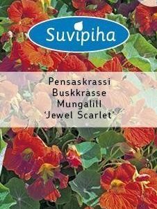 Suvipiha Tropaeolum
