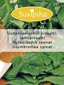 Suvipiha Uudenseelanninpinaatti