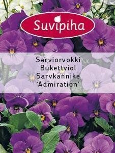 Suvipiha Viola